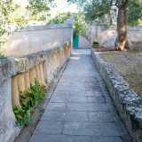 Superiamo quindi l�entrata per immergerci in una vasta area verde percorsa da un viale...